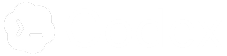 Codex